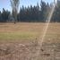 Terrain à vendre à La Plata, Buenos Aires, La Plata