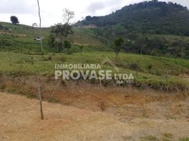  Terreno (Parcela) en venta en Chinacota, Norte De Santander, Chinacota