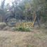  Land for sale in Tamiahua, Veracruz, Tamiahua