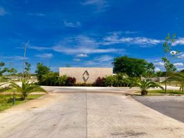 Terreno (Parcela) en venta en Merida, Yucatán, Merida, Yucatán
