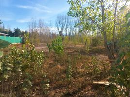  Land for sale in Maipu, Mendoza, Maipu