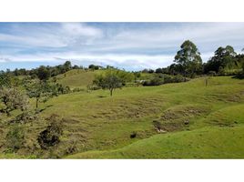  Grundstück zu verkaufen in Penol, Antioquia, Penol