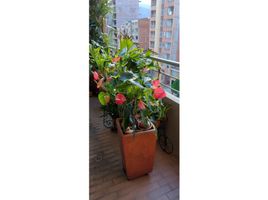 1 chambre Appartement for sale in Bosque Plaza Centro Comercial, Medellin, Medellin