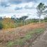  Land for sale in Lebrija, Santander, Lebrija