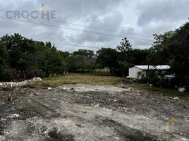 Land for sale in Emiliano Zapata, Veracruz, Emiliano Zapata