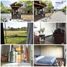 2 Habitación Casa en venta en Kerobokan, Bali, Kerobokan, Badung, Bali, Indonesia