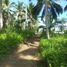  Land for sale in Mapanget, North Sulawesi, Mapanget, Manado, North Sulawesi