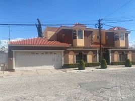 318 제곱미터입니다 Office for rent in 치와와, 치와와, 치와와
