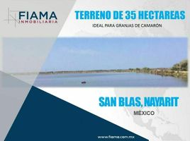  Terrain for sale in San Blas, Nayarit, San Blas