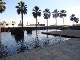 100 제곱미터입니다 Office for rent in Cuernavaca, 모렐 로스, Cuernavaca