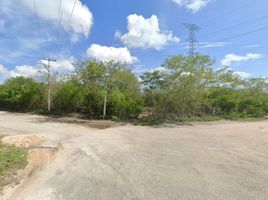  Grundstück zu verkaufen in Conkal, Yucatan, Conkal