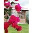 3 Bedroom Villa for sale in Yaruqui, Pichincha, Yaruqui