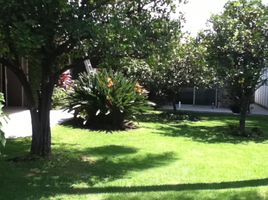 5 Schlafzimmer Haus zu verkaufen in Cuernavaca, Morelos, Cuernavaca