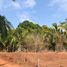  Land for sale in Compostela, Nayarit, Compostela