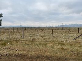  Terreno (Parcela) en venta en Brandsen, Buenos Aires, Brandsen