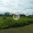  Land for sale in Barrio Colon, La Chorrera, Barrio Colon