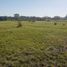  Land for sale in San Vicente, Buenos Aires, San Vicente