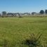  Land for sale in San Vicente, Buenos Aires, San Vicente