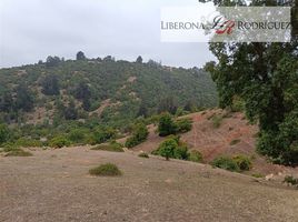  Terreno (Parcela) en venta en Chile, Viña del Mar, Valparaíso, Valparaíso, Chile