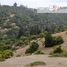  Terreno (Parcela) en venta en Chile, Viña del Mar, Valparaíso, Valparaíso, Chile