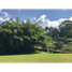 Terrain à vendre à Envigado, Antioquia, Envigado