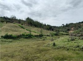  Terreno (Parcela) en venta en San Vicente, Antioquia, San Vicente