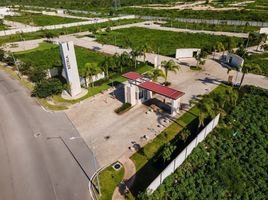  Grundstück zu verkaufen in Conkal, Yucatan, Conkal
