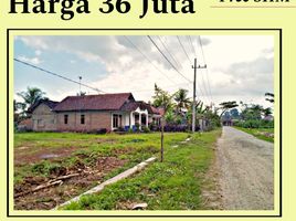  Land for sale in Banyuwangi, East Jawa, Gambiran, Banyuwangi