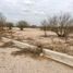  Terreno (Parcela) en venta en Torreon, Coahuila, Torreon