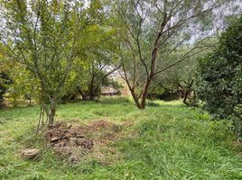  Land for sale in San Andres De Giles, Buenos Aires, San Andres De Giles