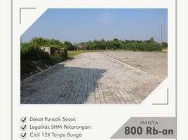  Land for sale in Bantul, Yogyakarta, Pajangan, Bantul