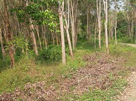  Land for sale in Lebak, Banten, Cimarga, Lebak