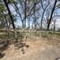  Land for sale in Bustamante, Nuevo Leon, Bustamante