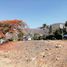  Land for sale in Ixtlahuacan De Los Membrillos, Jalisco, Ixtlahuacan De Los Membrillos