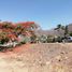  Land for sale in Ixtlahuacan De Los Membrillos, Jalisco, Ixtlahuacan De Los Membrillos