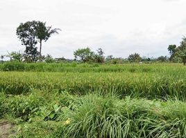  Tanah for sale in Yogyakarta, Ngaglik, Sleman, Yogyakarta