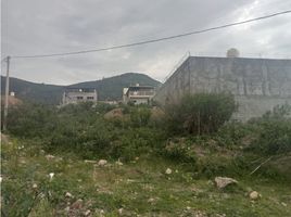  Grundstück zu verkaufen in Morelia, Michoacan, Morelia