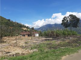  Terreno (Parcela) en venta en Girardota, Antioquia, Girardota