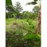  Land for sale in Yaviza, Darien, Yaviza, Pinogana