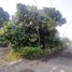  Terreno (Parcela) en venta en Pakem, Yogyakarta, Pakem, Sleman