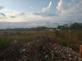  Grundstück zu verkaufen in Conkal, Yucatan, Conkal