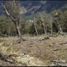  Land for sale in General Carrera, Aisen Del General Carlos Ibanez Del Campo, Rio Ibanez, General Carrera