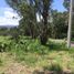  Land for sale in Omitlan De Juarez, Hidalgo, Omitlan De Juarez