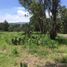  Land for sale in Omitlan De Juarez, Hidalgo, Omitlan De Juarez