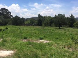  Land for sale in Omitlan De Juarez, Hidalgo, Omitlan De Juarez