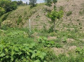  Terreno (Parcela) en venta en Ulloa, Valle Del Cauca, Ulloa