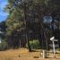  Grundstück zu verkaufen in Pinamar, Buenos Aires, Pinamar