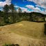 Terrain à vendre à Rionegro, Antioquia, Rionegro