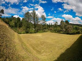 Terrain à vendre à Rionegro, Antioquia, Rionegro