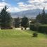 4 Schlafzimmer Haus zu verkaufen in Puembo, Pichincha, Puembo, Quito, Pichincha, Ecuador
